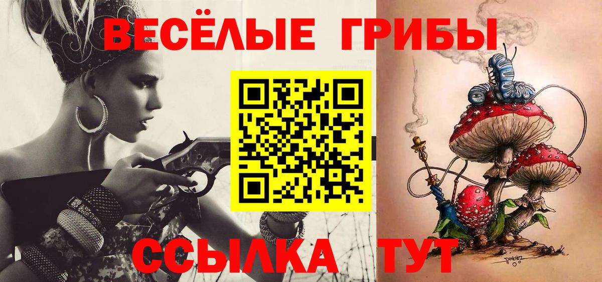 Галлюциногенные грибы прущие грибы Калуга