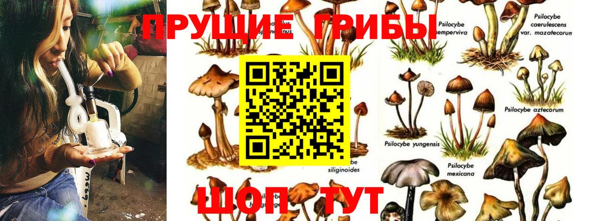 Псилоцибиновые грибы Magic Shrooms  Вход с VPN  Калуга  дарнет шоп  Галлюциногенные грибы мицелий 